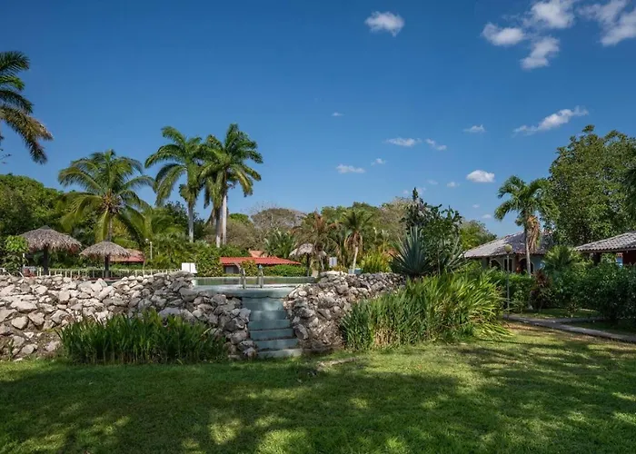 Paradise With Poo, One-bed Gem Hébergement de vacances *
