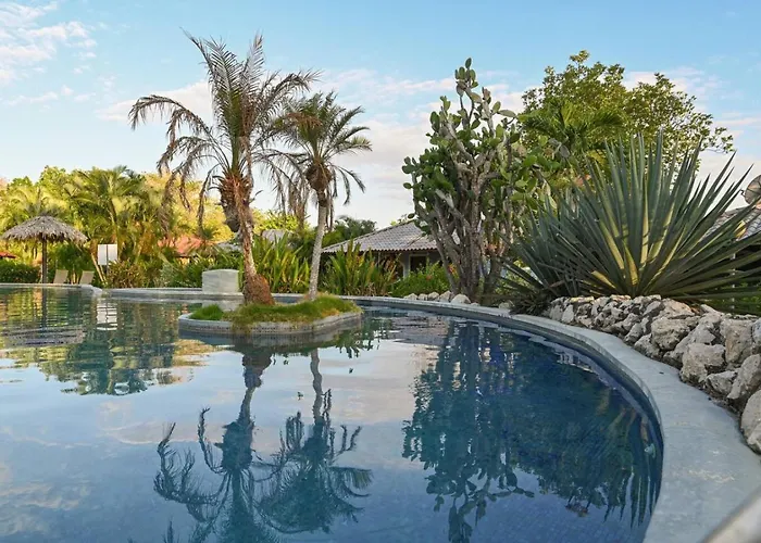 Hébergement de vacances Paradise With Poo, One-bed Gem *